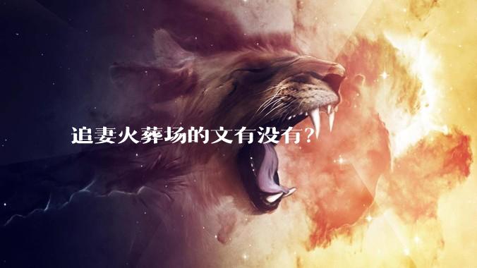 追妻火葬场的文有没有？