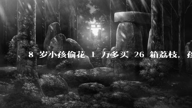 8 岁小孩偷花 1 万多买 26 箱荔枝，孩子父亲称在商品未发货时申请退款被拒，这合理吗？