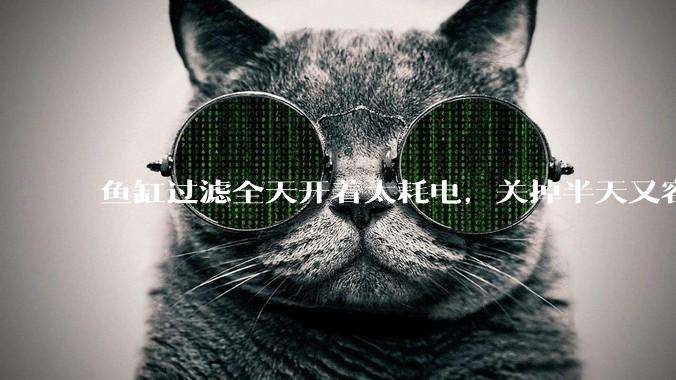 鱼缸过滤全天开着太耗电，关掉半天又容易水浑，有什么好办法？