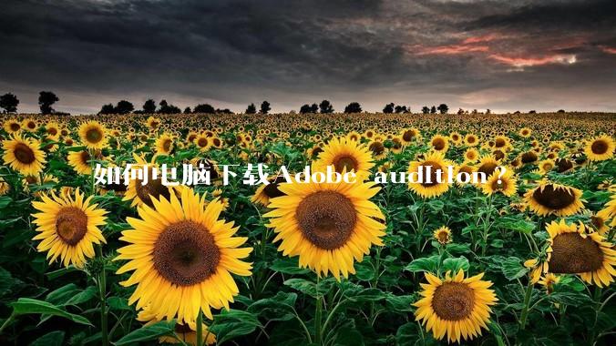 如何电脑下载Adobe audition?