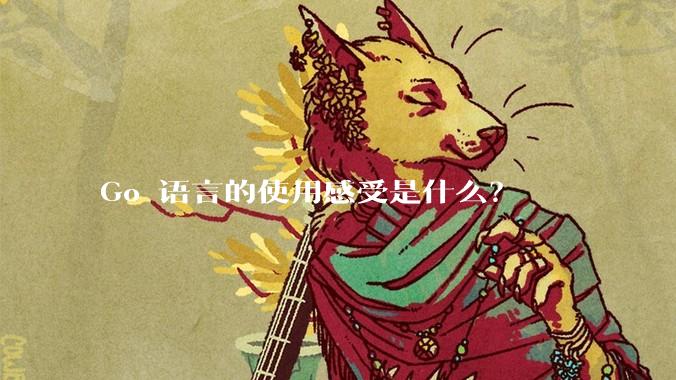Go 语言的使用感受是什么？