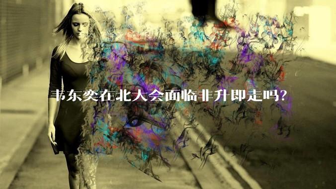 韦东奕在北大会面临非升即走吗？